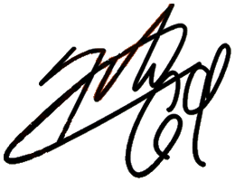 Nicky Hayden Autograph decal